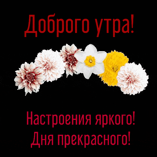 Доброго утра! Настроения яркого! Дня прекрасного!
