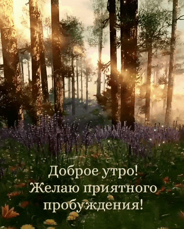 Доброе утро! Желаю приятного пробуждения!