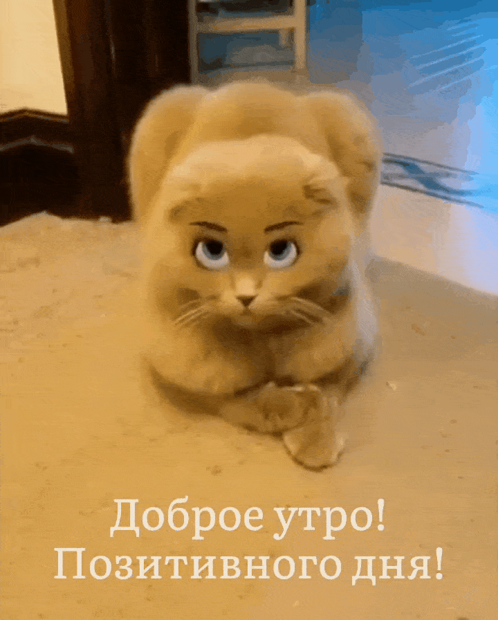 Доброе утро! Позитивного дня!