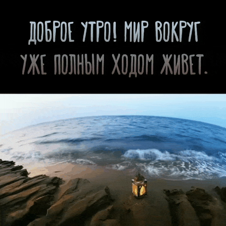 Доброе утро! Мир вокруг уже полным ходом живет.
