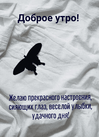 Доброе утро! Желаю прекрасного настроения, сияющих глаз