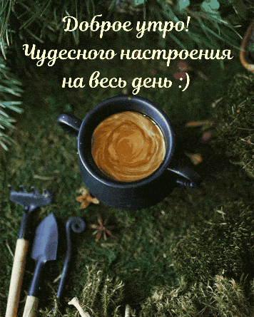 Доброе утро! Чудесного настроения на весь день :)