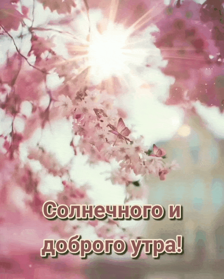 Солнечного и доброго утра!