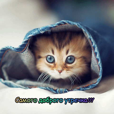 Самого доброго утречка!