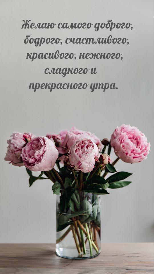 Желаю самого доброго, бодрого, счастливого утра
