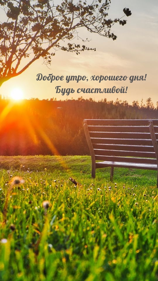 Доброе утро, хорошего дня! Будь счастливой!