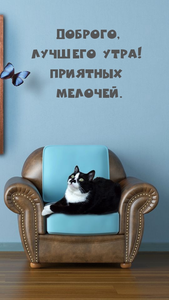 Доброго, лучшего утра! Приятных мелочей.
