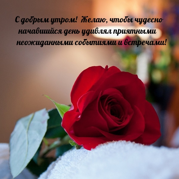 С добрым утром!