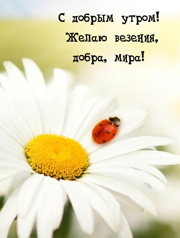 С добрым утром! Желаю везения, добра, мира!