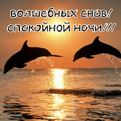 волшебных снов! спокойной ночи!
