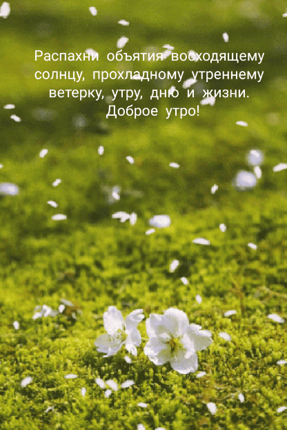 Распахни объятия восходящему солнцу!