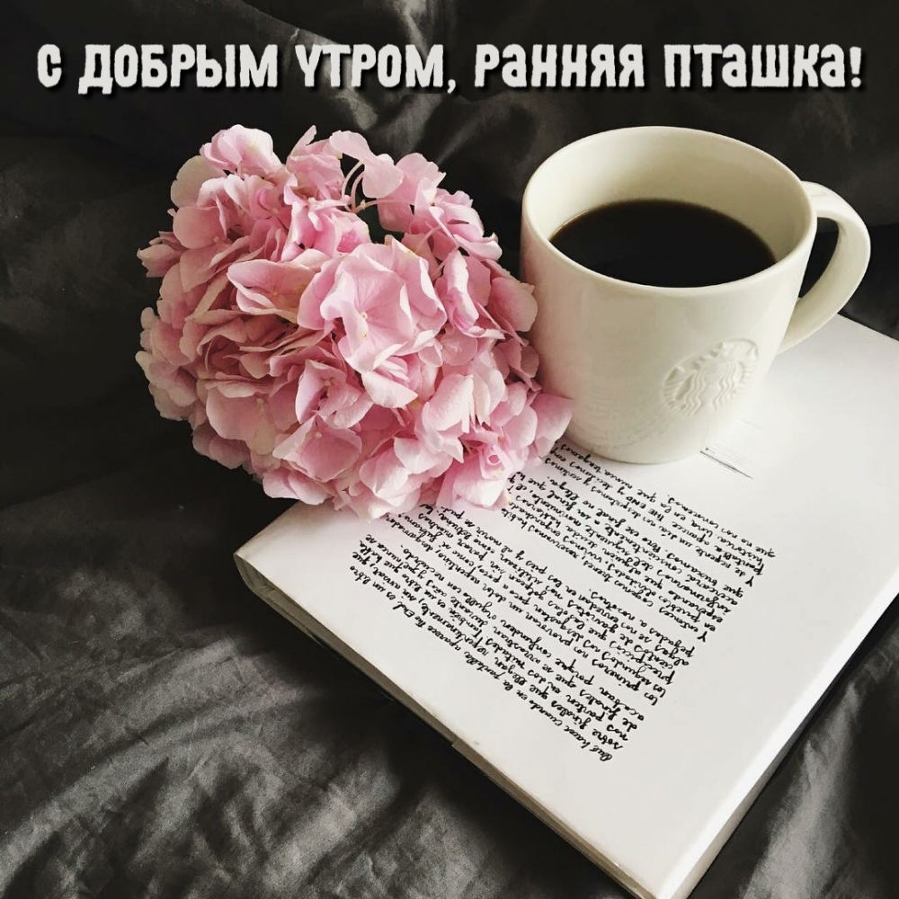С добрым утром, ранняя пташка!