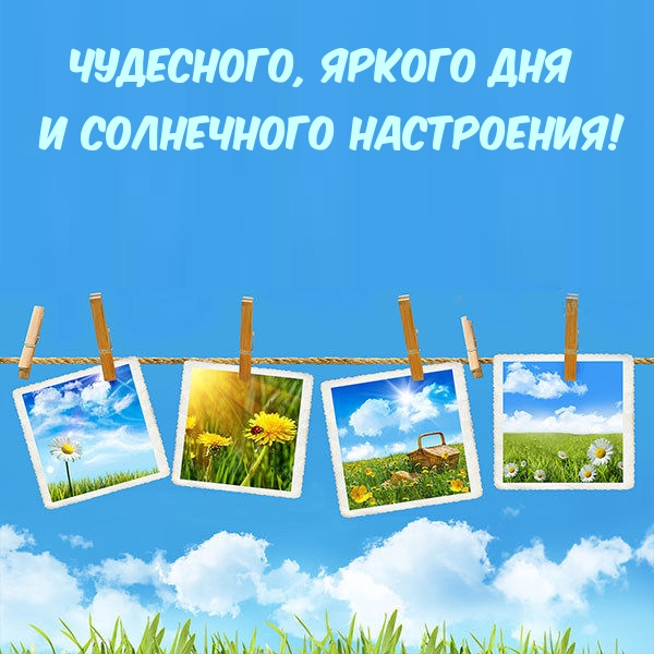 Чудесного, яркого дня и солнечного настроения!