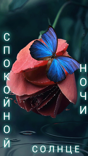Спокойной ночи, солнце