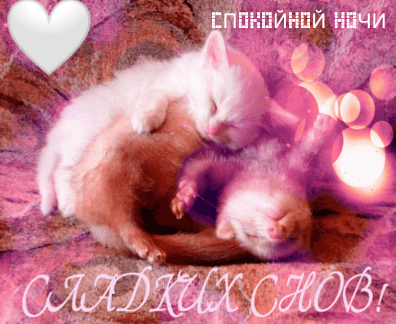 Спокойной ночи! сладких снов