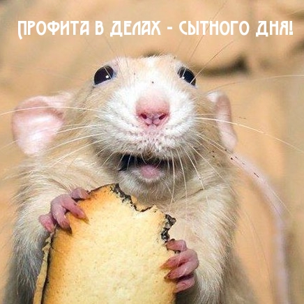 Профита в делах — сытного дня!
