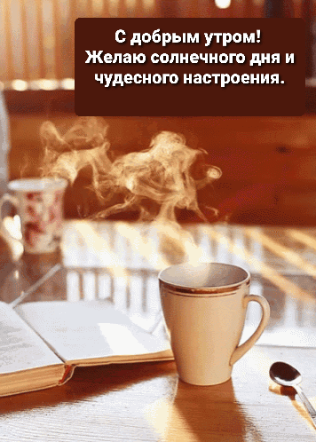 Желаю солнечного дня и чудесного настроения