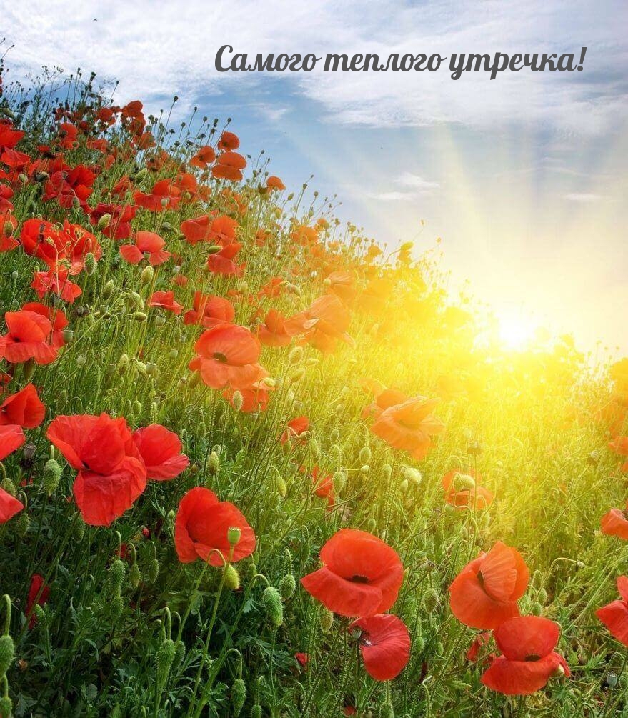 Самого теплого утречка!