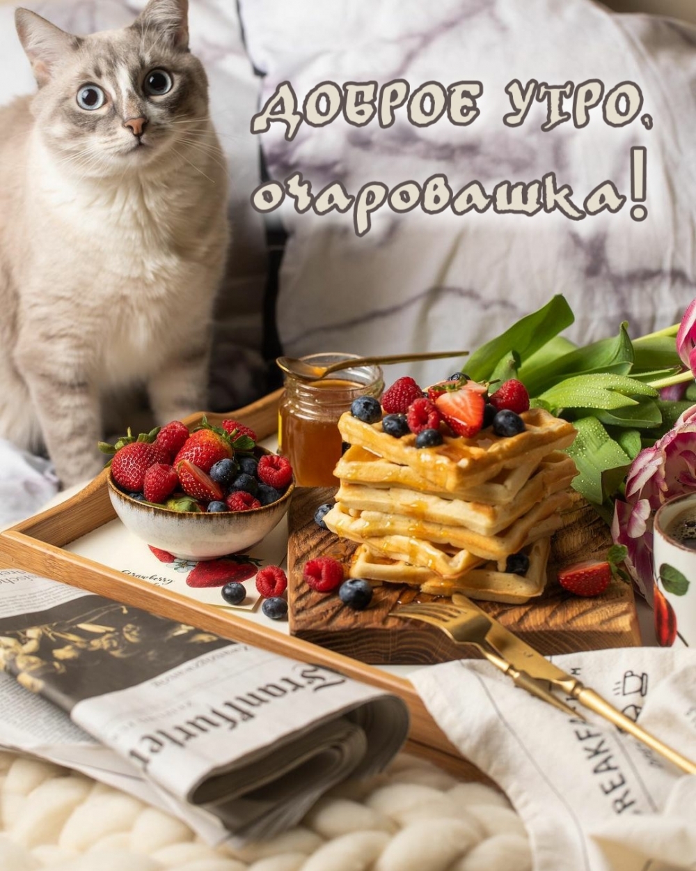 Доброе утро, очаровашка!