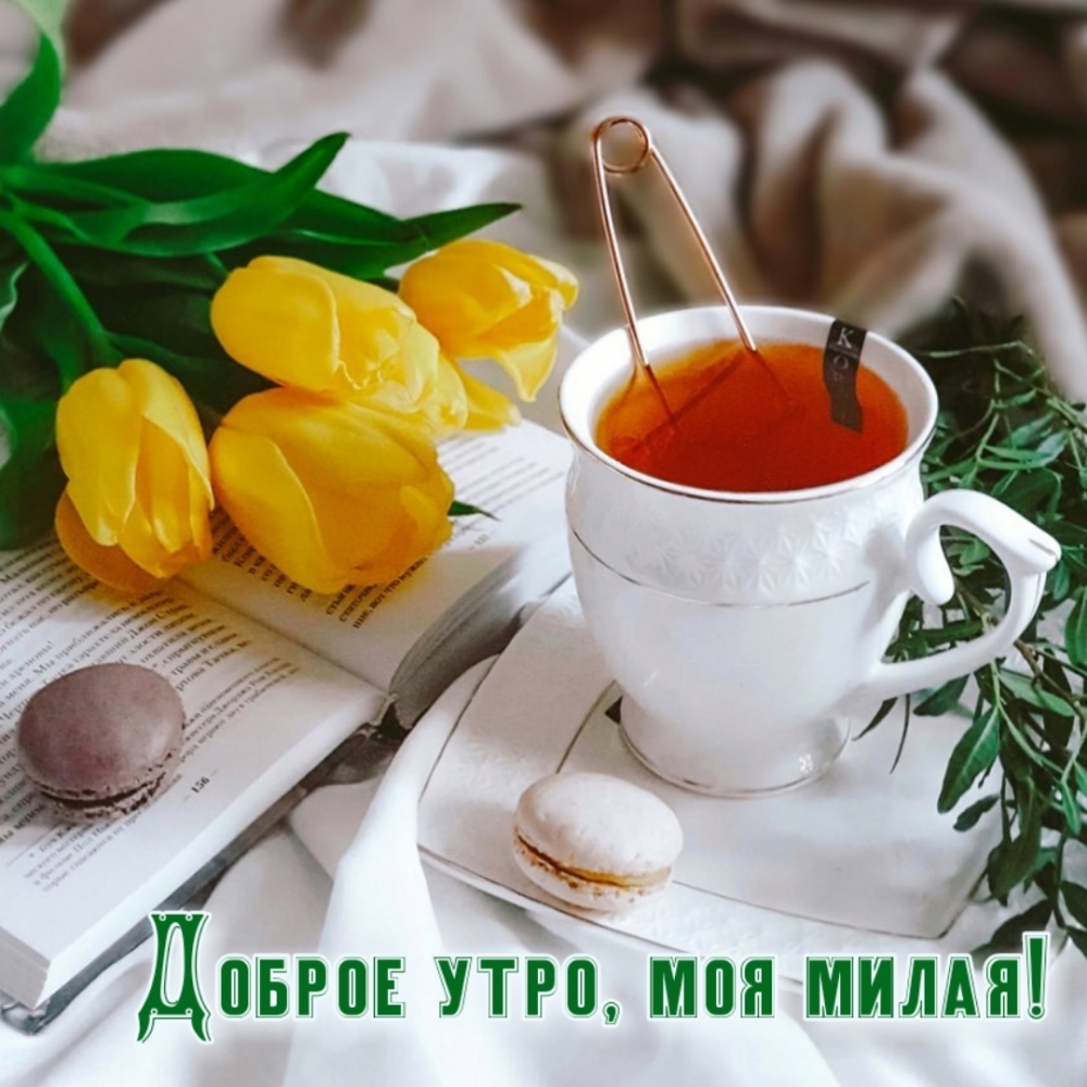 Доброе утро, моя милая!