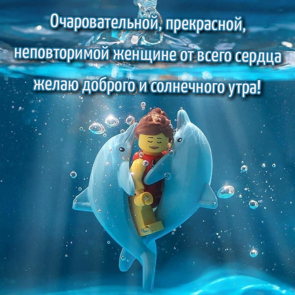 От всего сердца желаю доброго и солнечного утра!