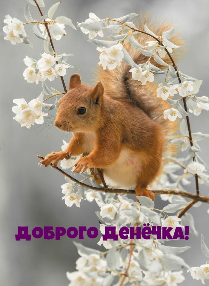 Доброго денëчка!