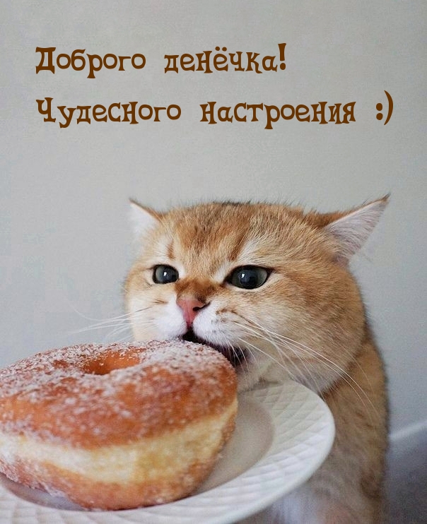 Доброго денëчка! Чудесного настроения :)