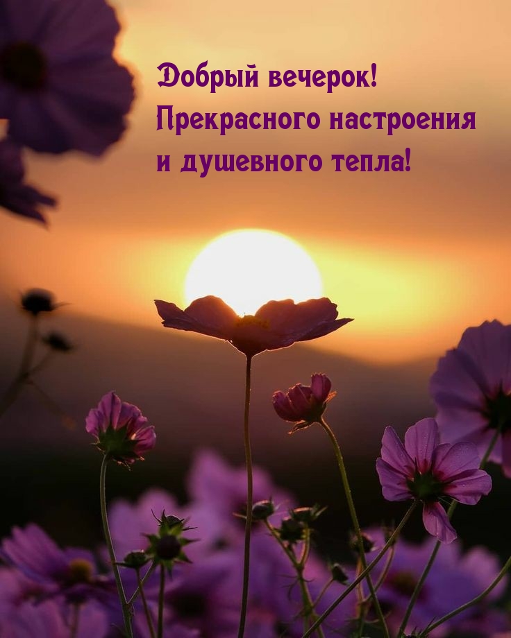 Добрый вечерок! Прекрасного настроения и душевного тепла!