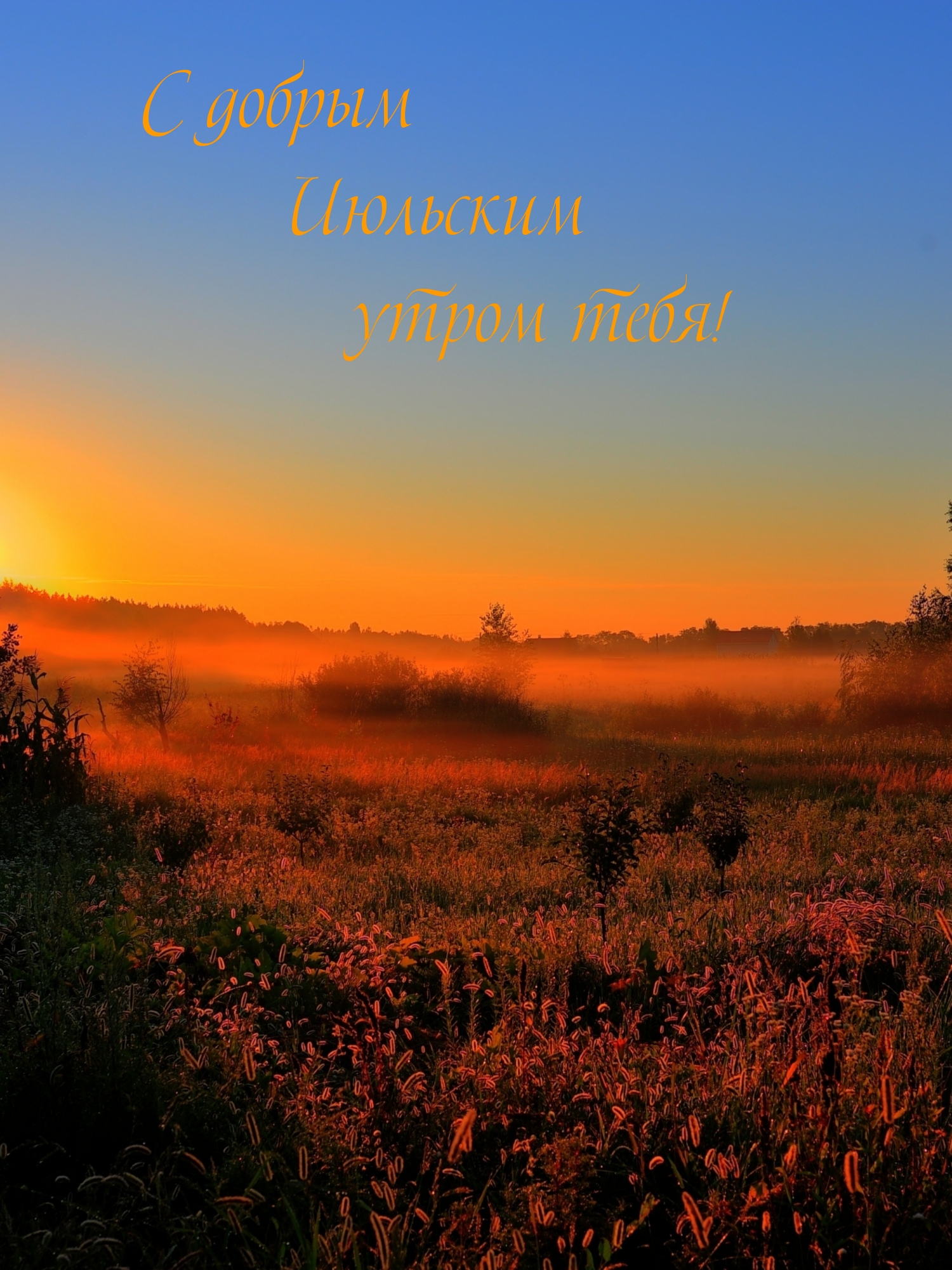 С добрым Июльским утром тебя!