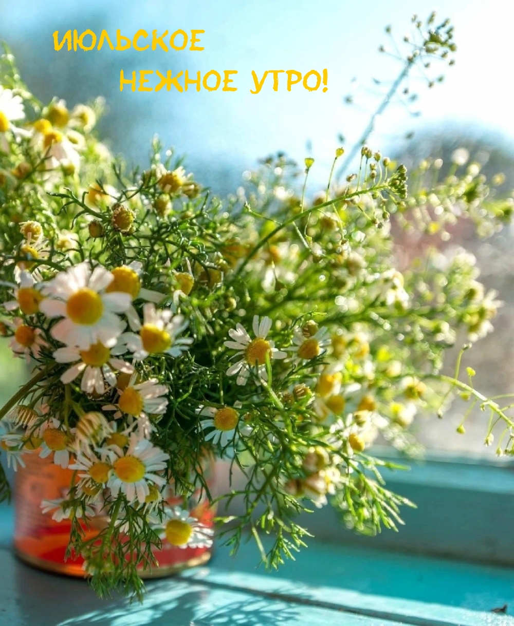 Июльское нежное утро!