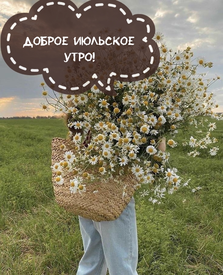 Доброе июльское утро!