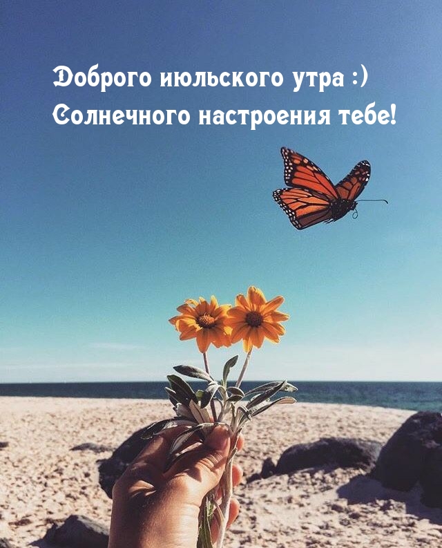 Доброго июльского утра :) Солнечного настроения тебе!