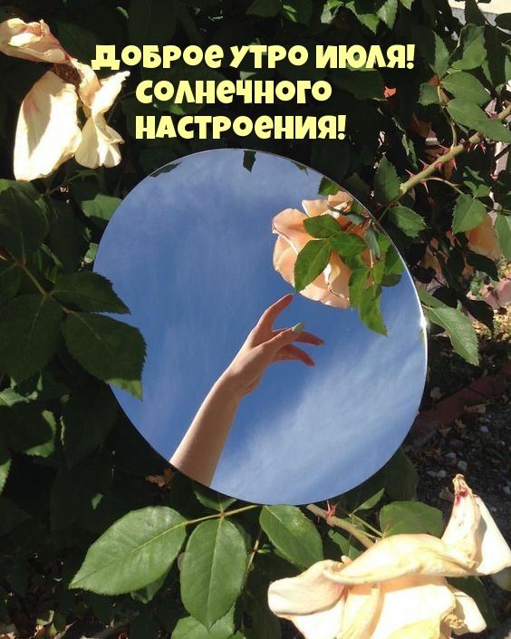 Доброе утро июля! Солнечного настроения!