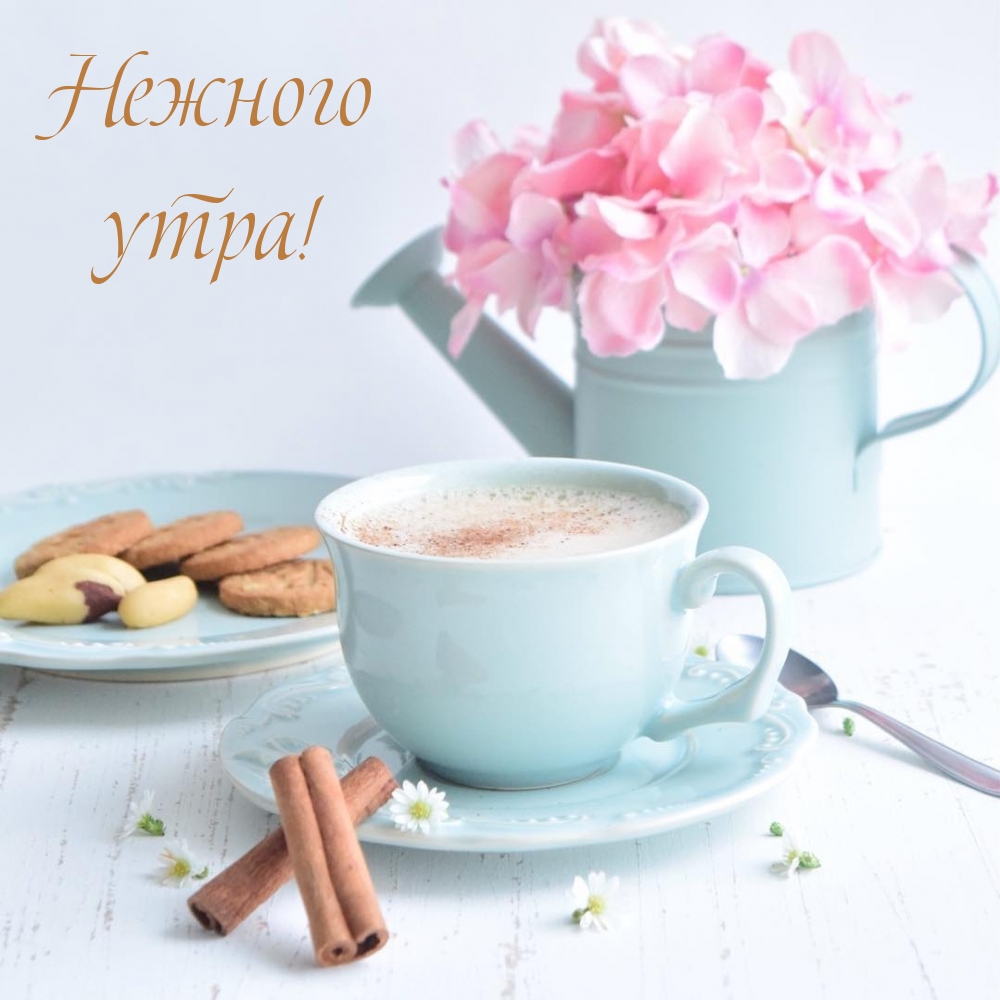 Нежного утра!