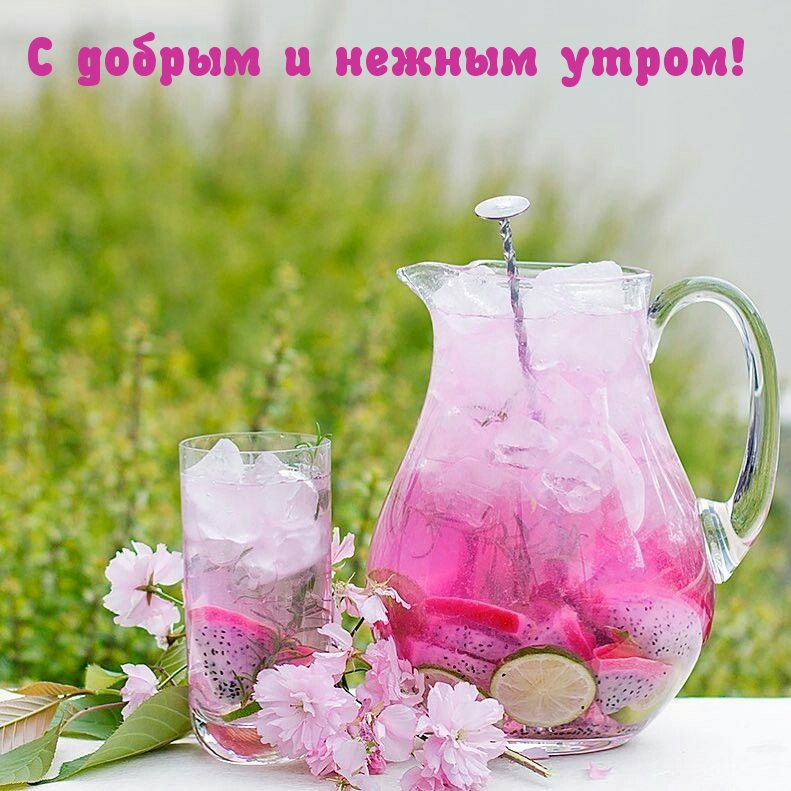 С добрым и нежным утром!