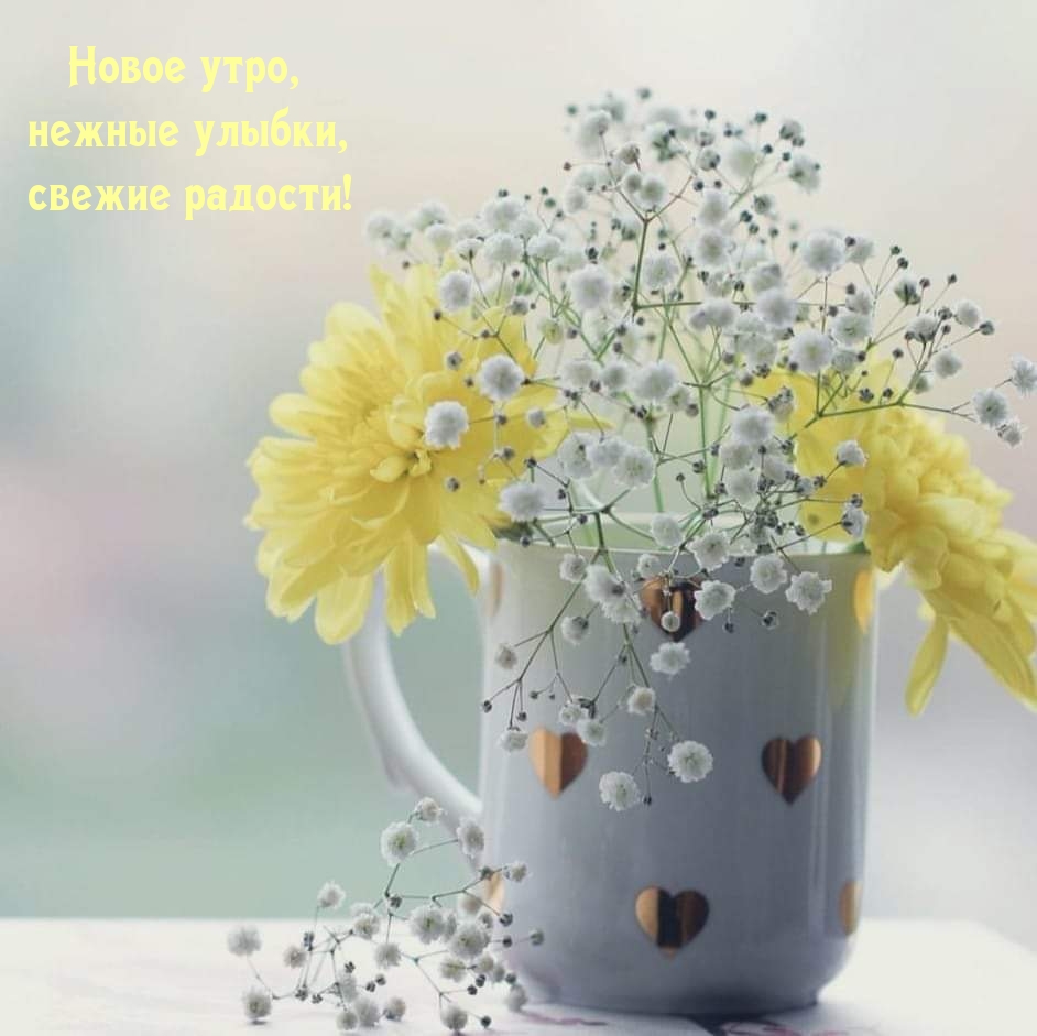 Новое утро, нежные улыбки, свежие радости!