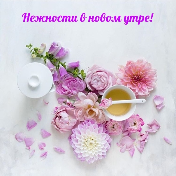 Нежности в новом утре!