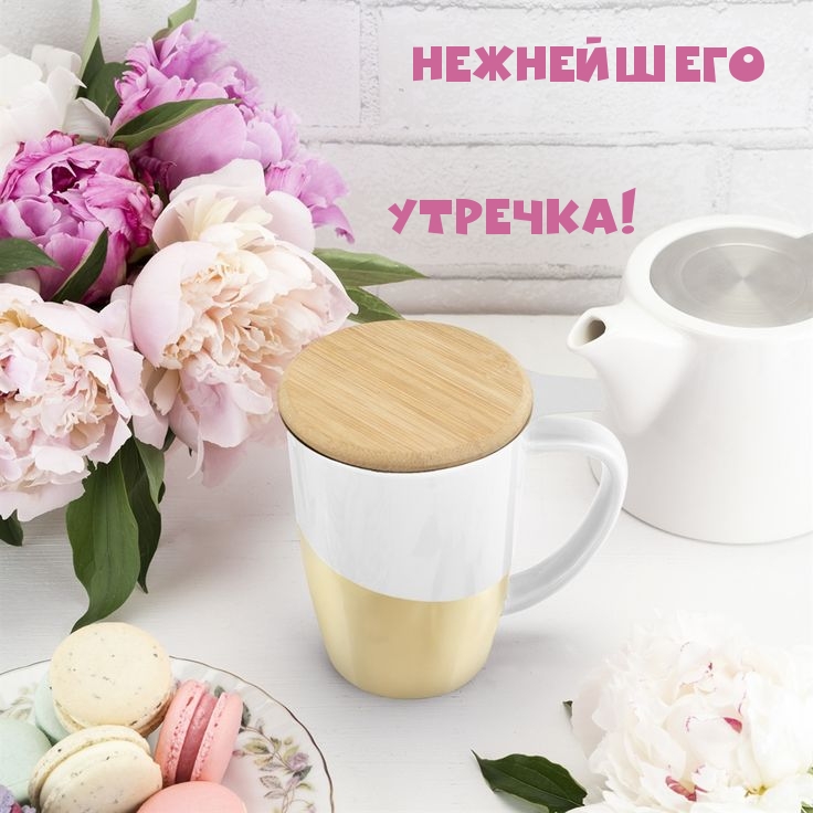 Нежнейшего утречка!