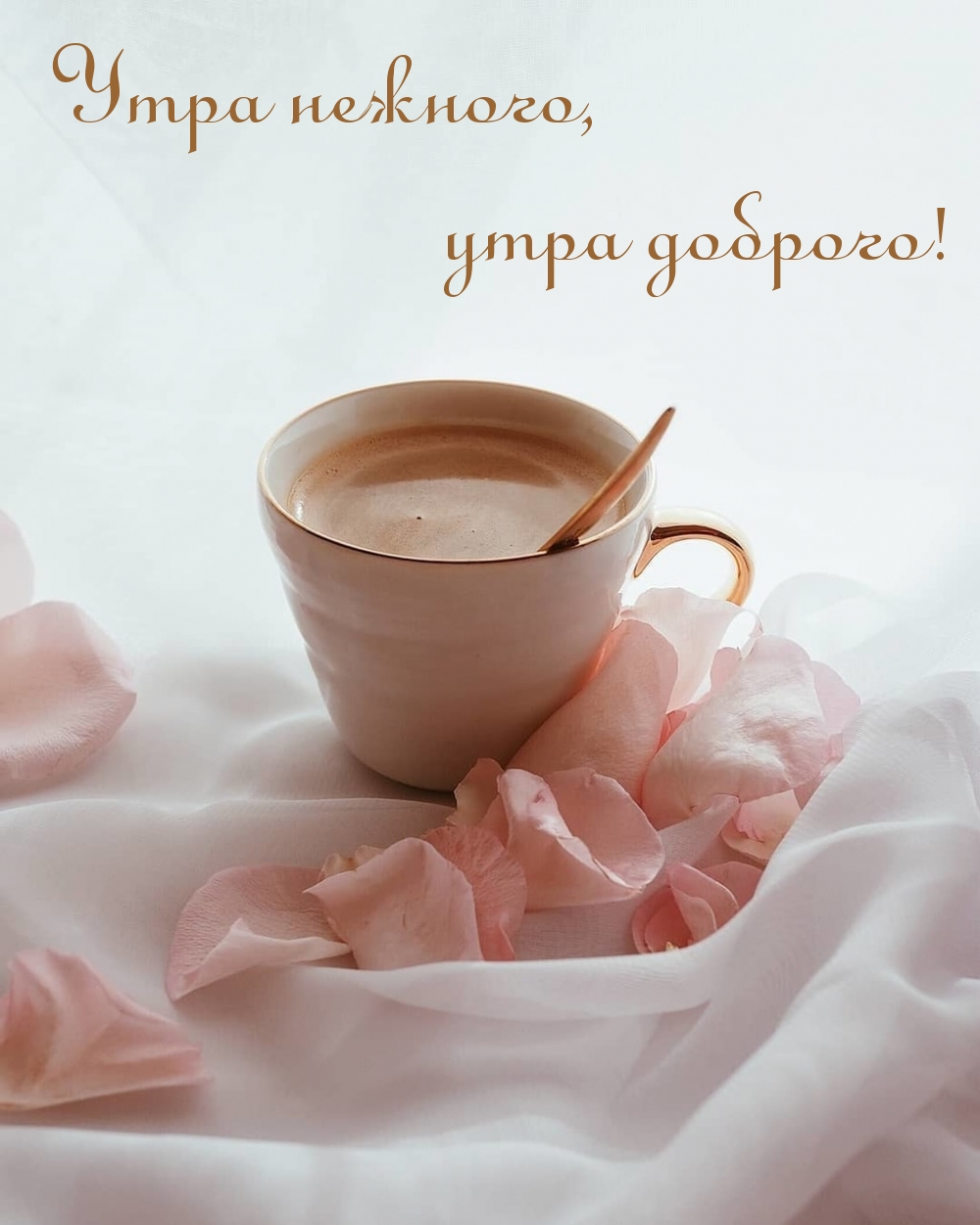 Утра нежного, утра доброго!