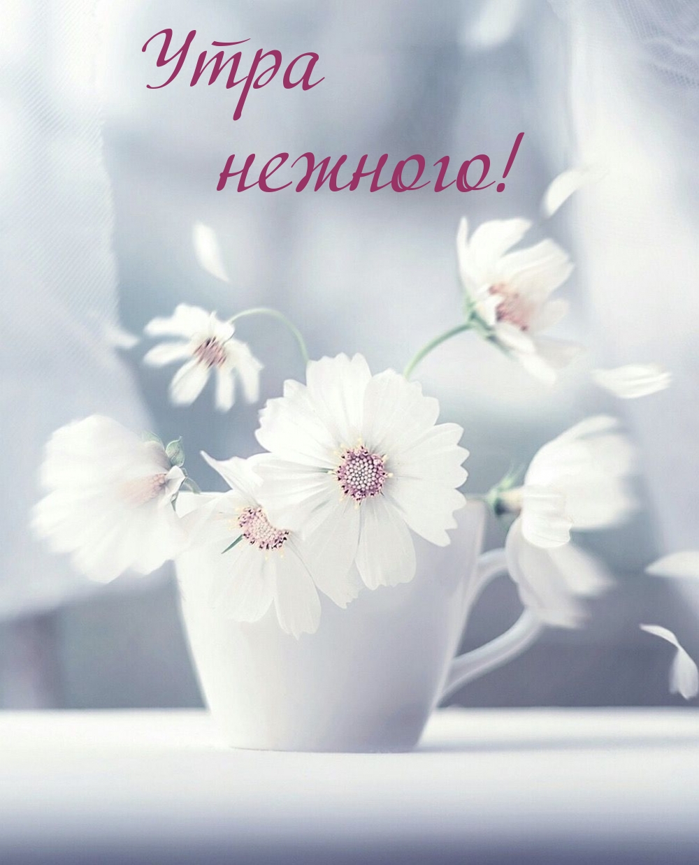 Утра нежного!