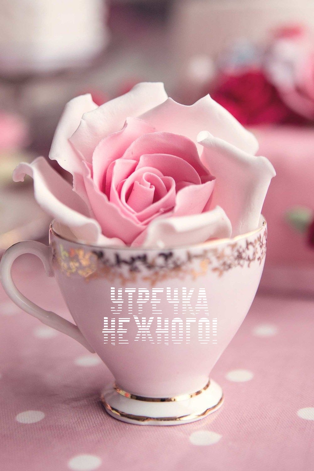 Картинка - Утречка нежного!.
