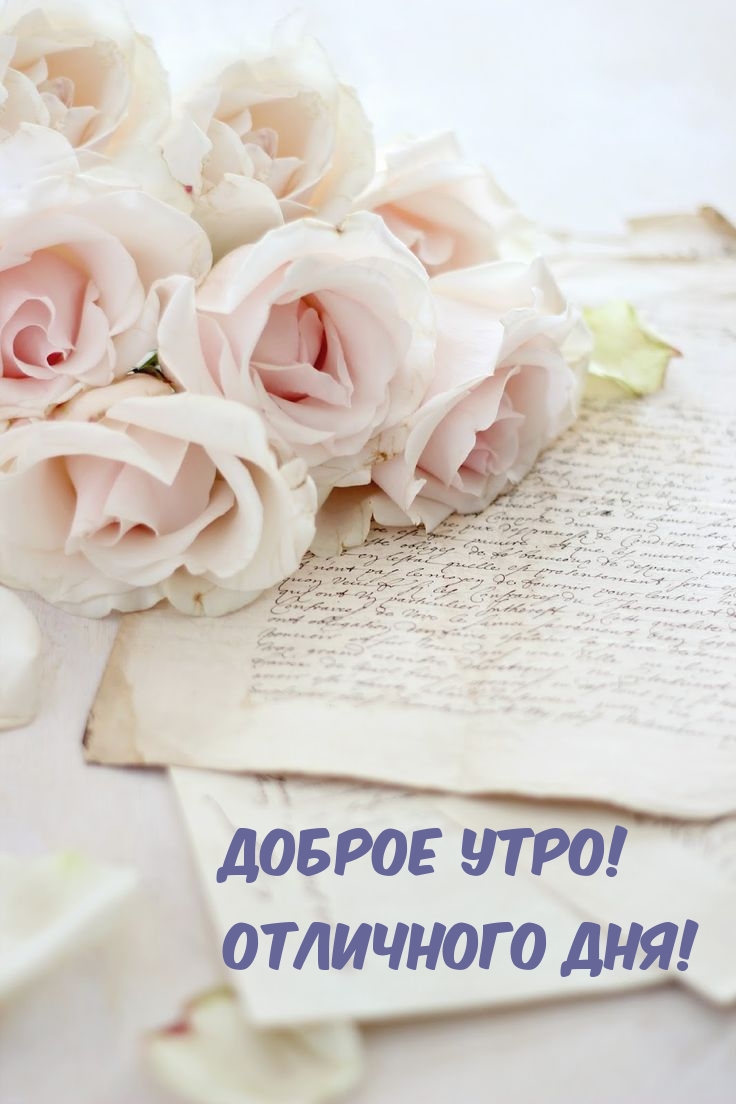 Доброе утро! Отличного дня!