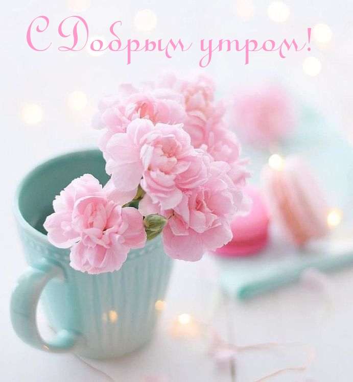 С Добрым утром!