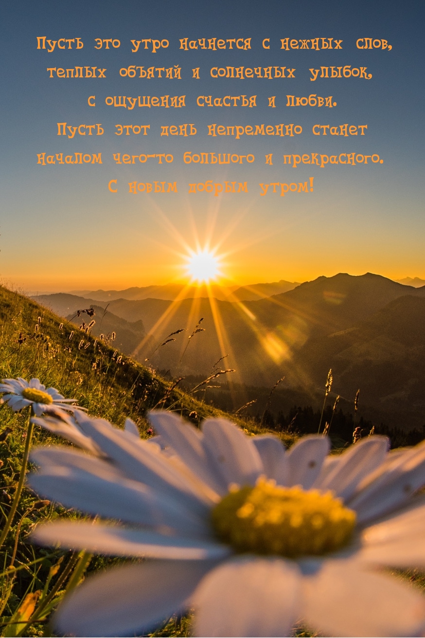 Пусть это утро начнется с нежных слов