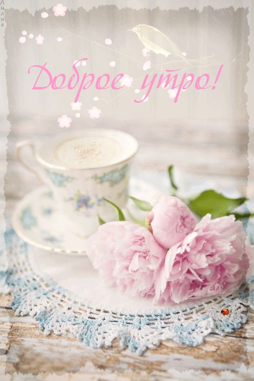 Доброе утро!