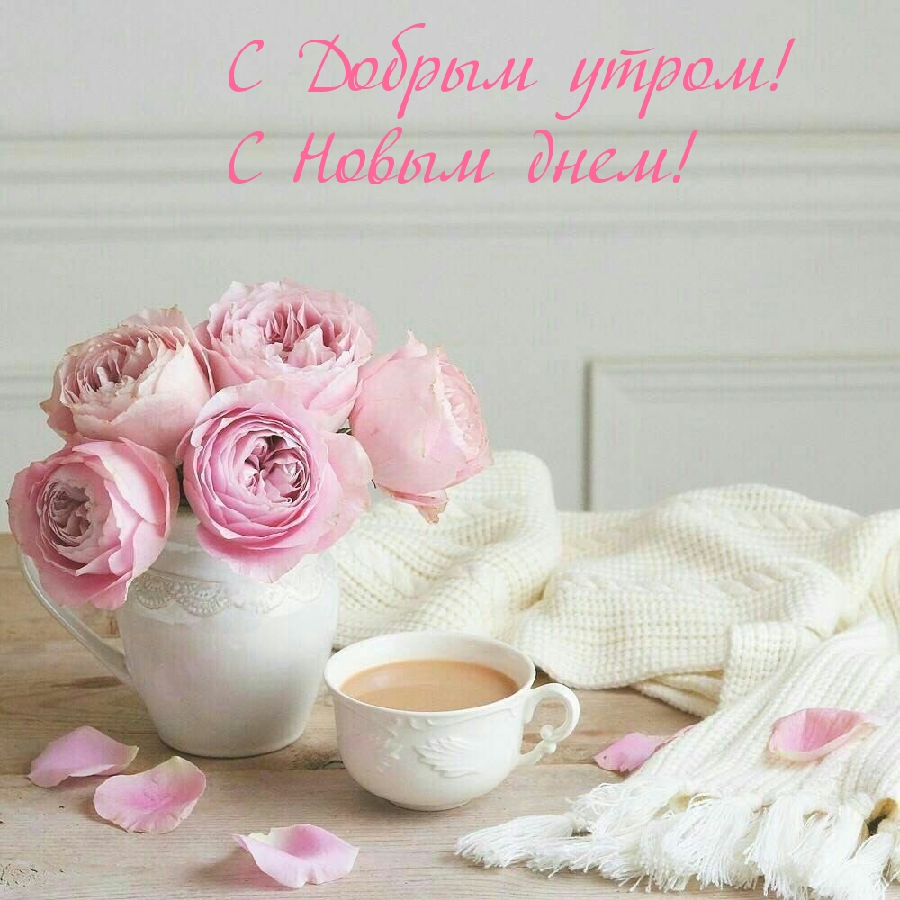 С Добрым утром! С Новым днем!