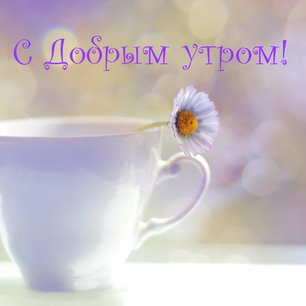 С Добрым утром!