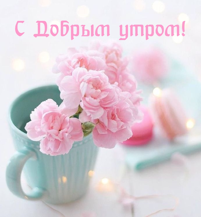 С Добрым утром!