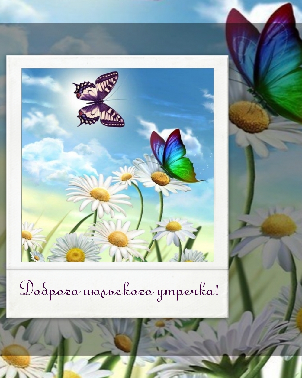 Доброго июльского утречка!
