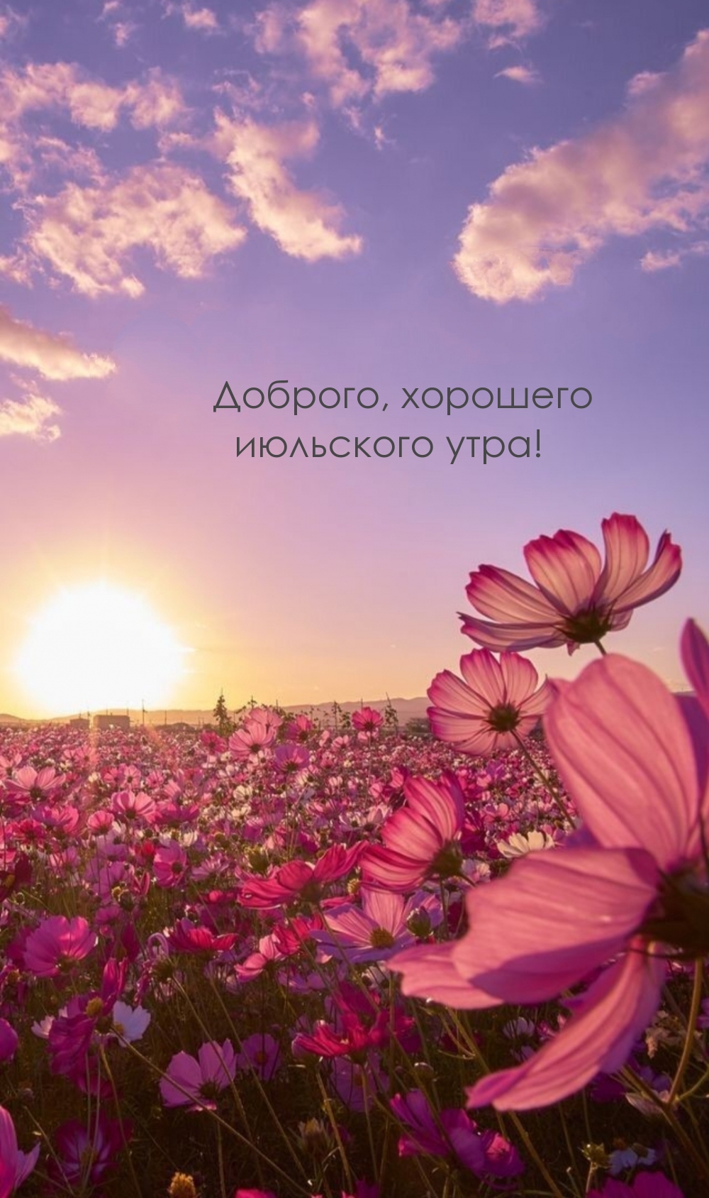 Доброго, хорошего июльского утра!